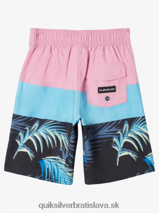 2-7 kraťasy na každodenné použitie z panelu 14 Quiksilver chlapci B80HXR1897 mesačná svetlofialová