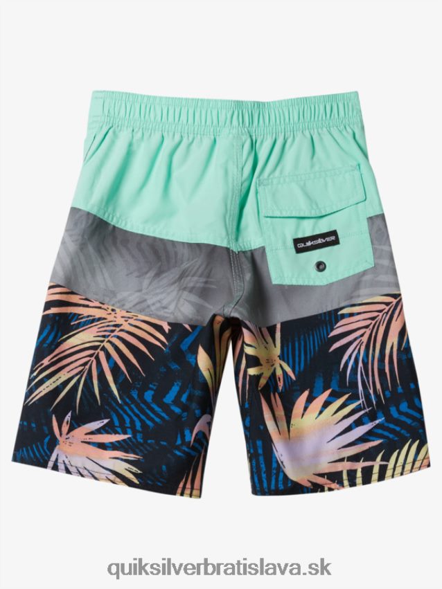 2-7 kraťasy na každodenné použitie z panelu 14 Quiksilver chlapci B80HXR1899 plážové sklo