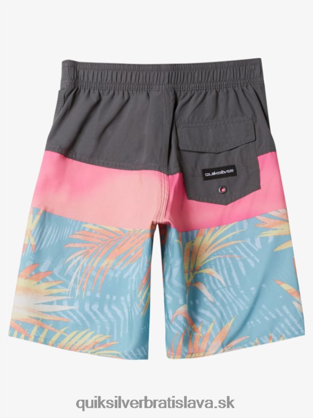 2-7 kraťasy na každodenné použitie z panelu 14 Quiksilver chlapci B80HXR1900 železná brána