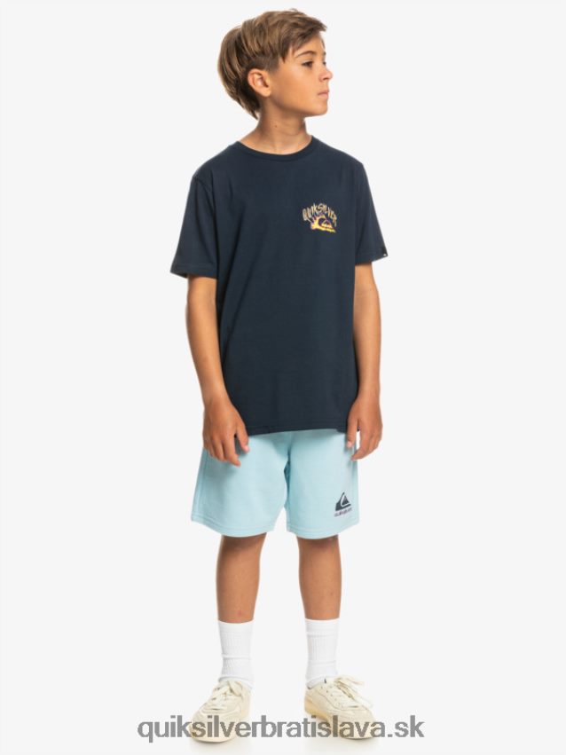 8-16 ľahkých denných joggerov Quiksilver chlapci B80HXR2072 modrá obloha