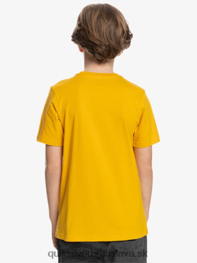 logo comp - tričko Quiksilver chlapci B80HXR2316 zlatý prút