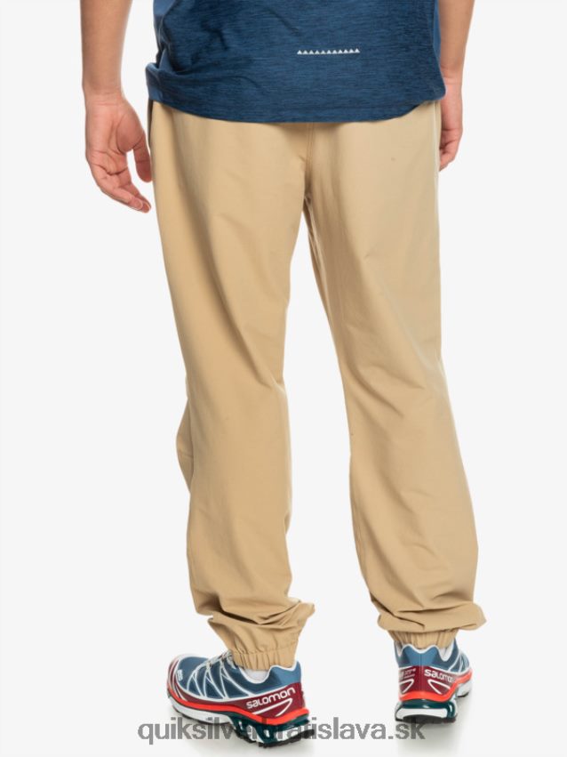 cargo nohavice morského dna Quiksilver muži B80HXR1846 tanín