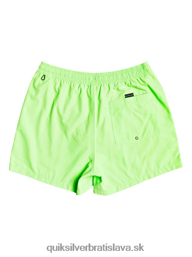 denne 15 salv Quiksilver muži B80HXR460 zelený gekón