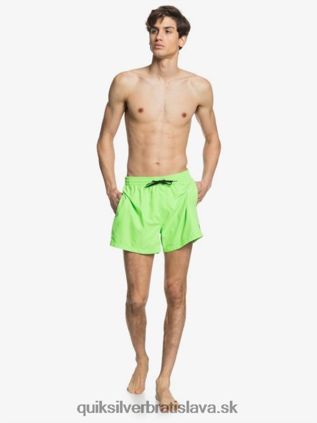 denne 15 salv Quiksilver muži B80HXR460 zelený gekón