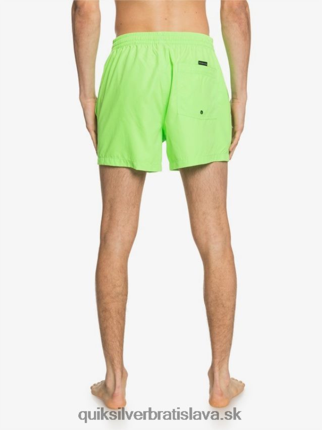 denne 15 salv Quiksilver muži B80HXR460 zelený gekón