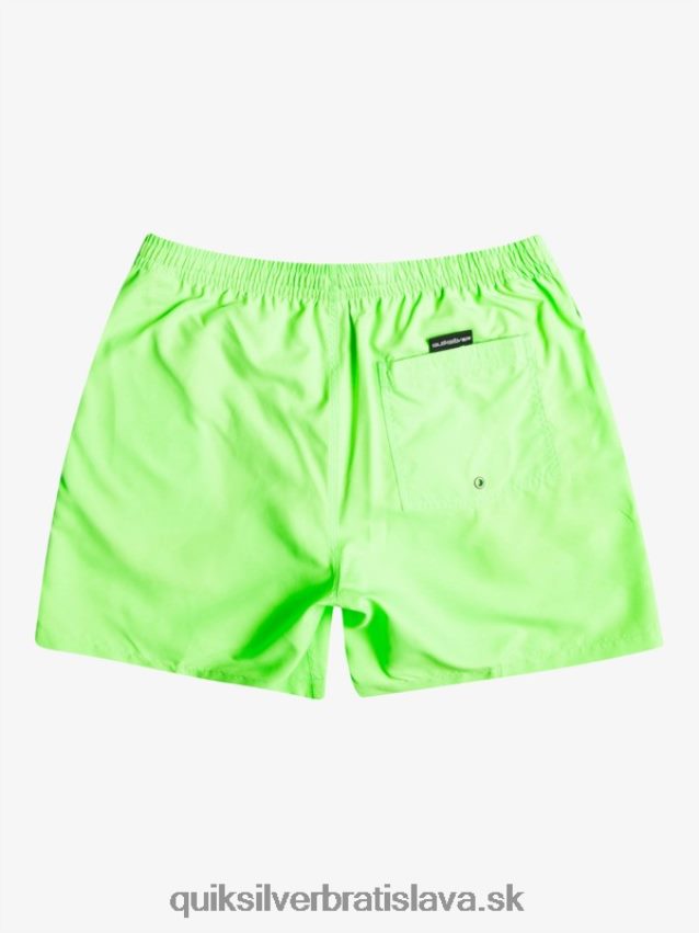 denne 17 volejov Quiksilver muži B80HXR621 zelený gekón