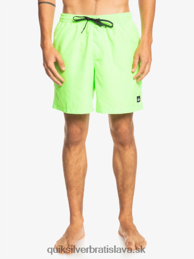 denne 17 volejov Quiksilver muži B80HXR621 zelený gekón