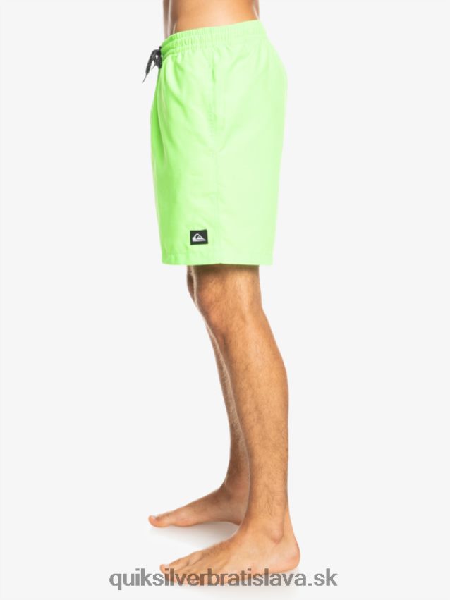 denne 17 volejov Quiksilver muži B80HXR621 zelený gekón