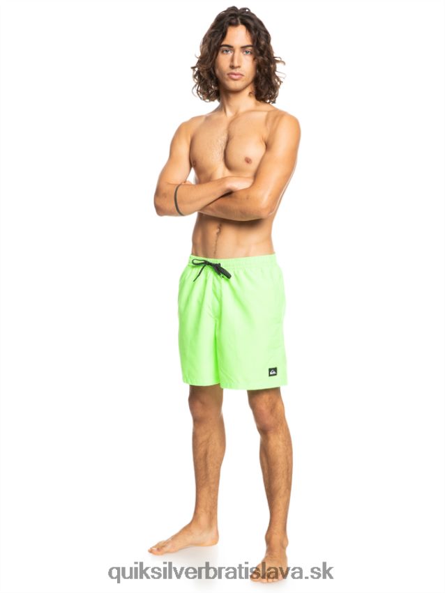 denne 17 volejov Quiksilver muži B80HXR621 zelený gekón