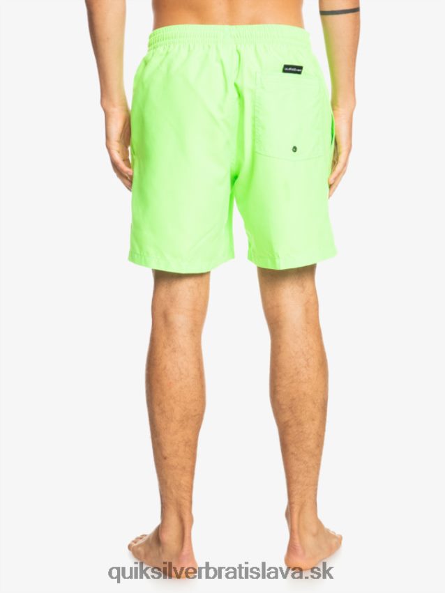 denne 17 volejov Quiksilver muži B80HXR621 zelený gekón