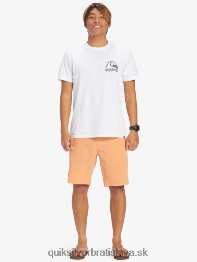 hybridné šortky ocean union obojživelník 20 Quiksilver muži B80HXR143 medené opálenie