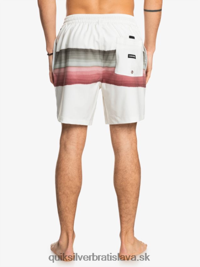 živicový odtieň ks 17 salv Quiksilver muži B80HXR1270 breza