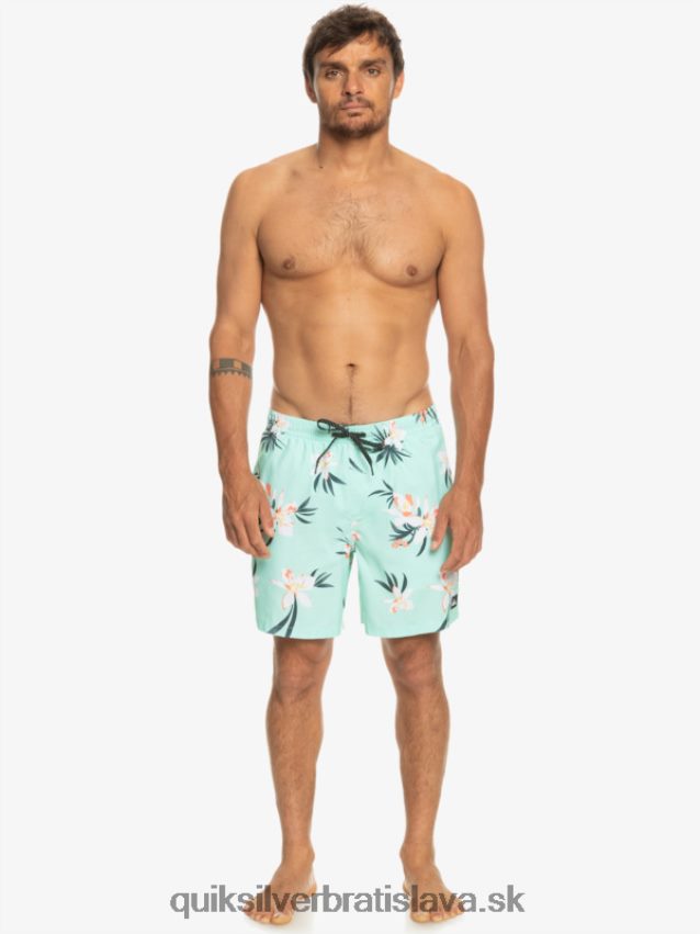 každodenný mix 17 volejov Quiksilver muži B80HXR1211 plážové sklo