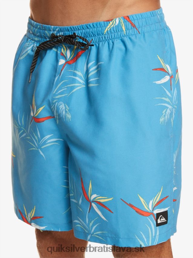 každodenný mix 17 volejov Quiksilver muži B80HXR674 azúrovo modrá