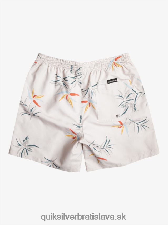 každodenný mix 17 volejov Quiksilver muži B80HXR676 breza