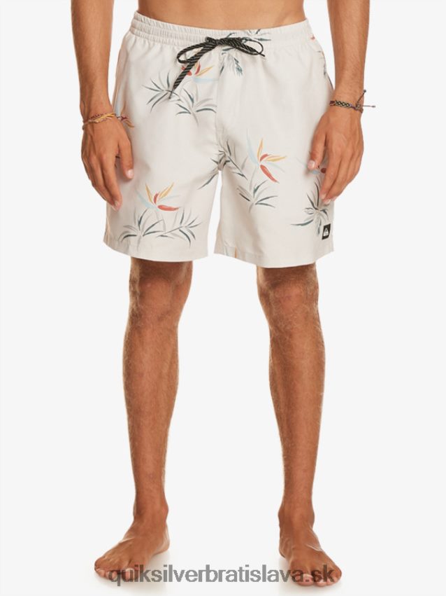 každodenný mix 17 volejov Quiksilver muži B80HXR676 breza