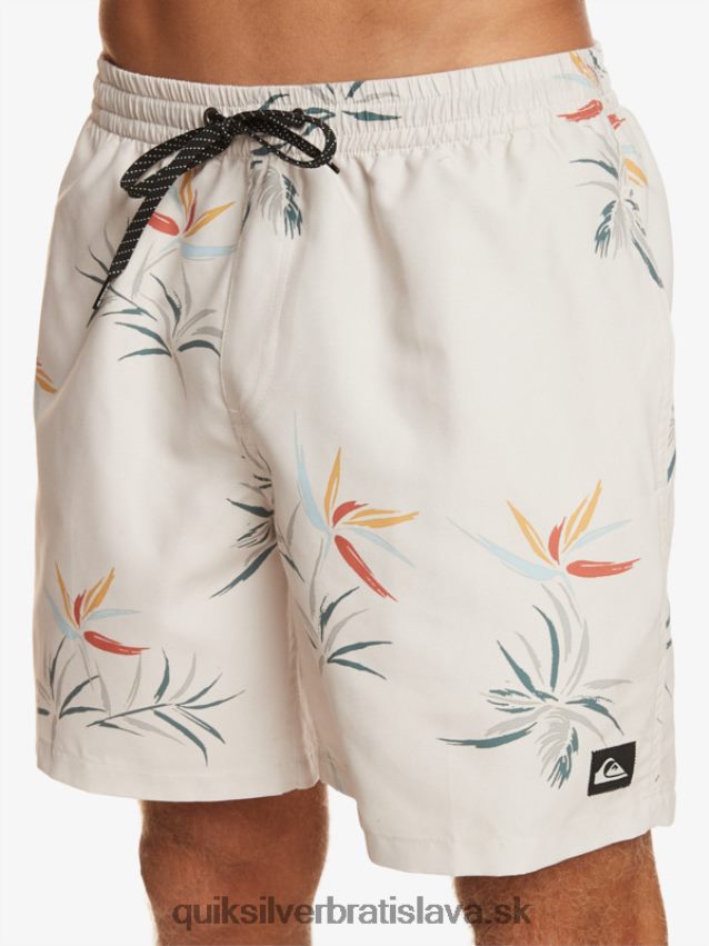 každodenný mix 17 volejov Quiksilver muži B80HXR676 breza