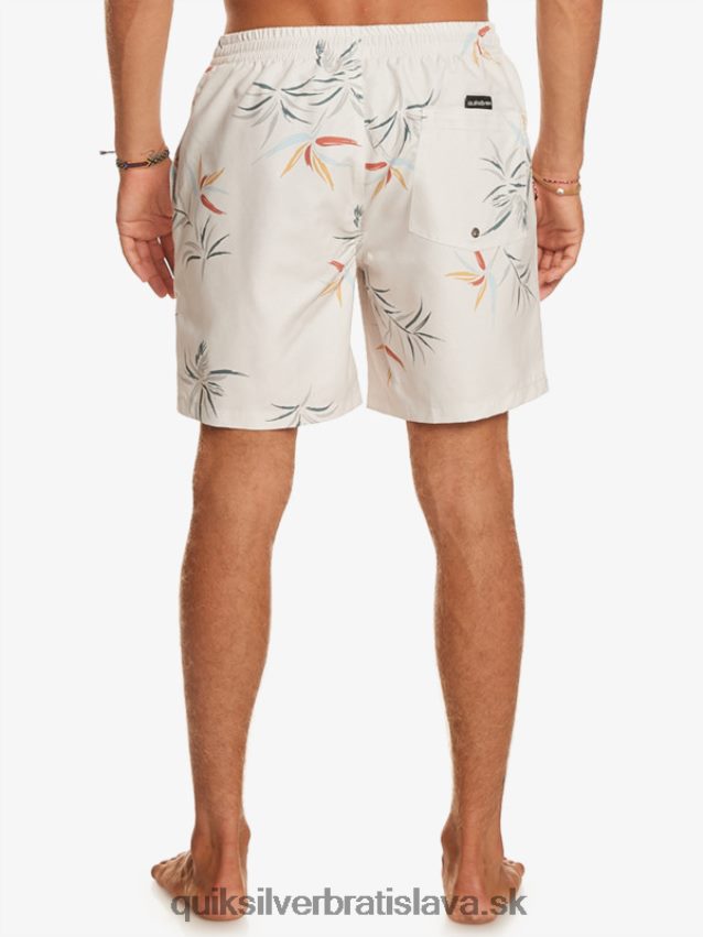 každodenný mix 17 volejov Quiksilver muži B80HXR676 breza