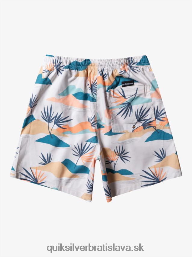 každodenný mix 17 volejov Quiksilver muži B80HXR678 breza