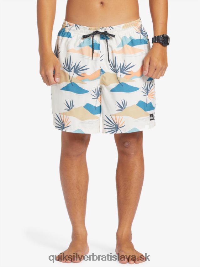 každodenný mix 17 volejov Quiksilver muži B80HXR678 breza