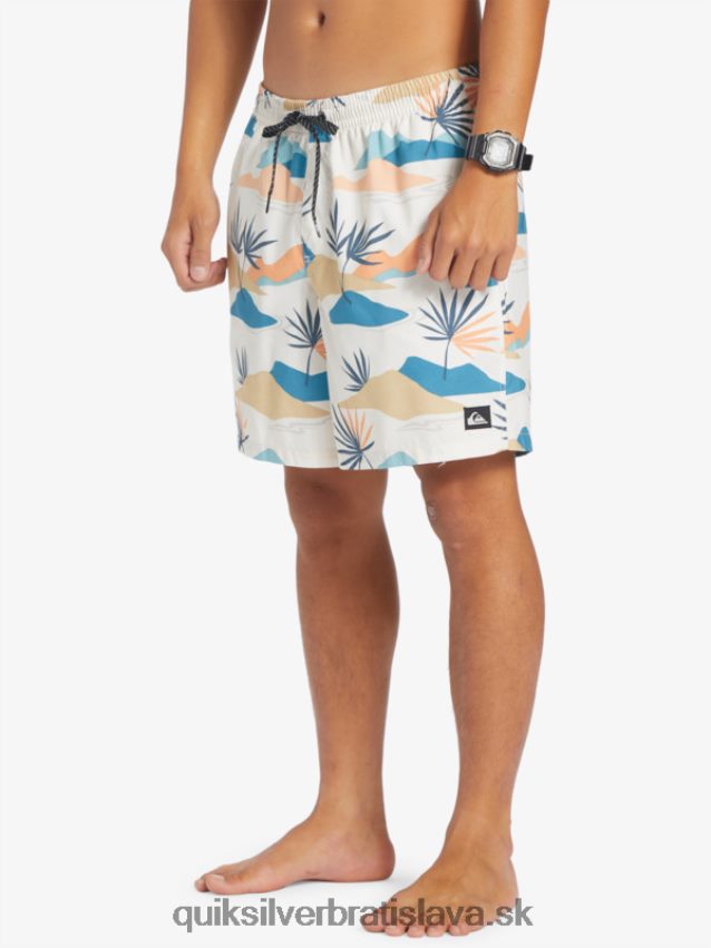 každodenný mix 17 volejov Quiksilver muži B80HXR678 breza