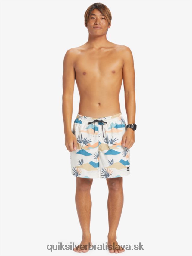 každodenný mix 17 volejov Quiksilver muži B80HXR678 breza