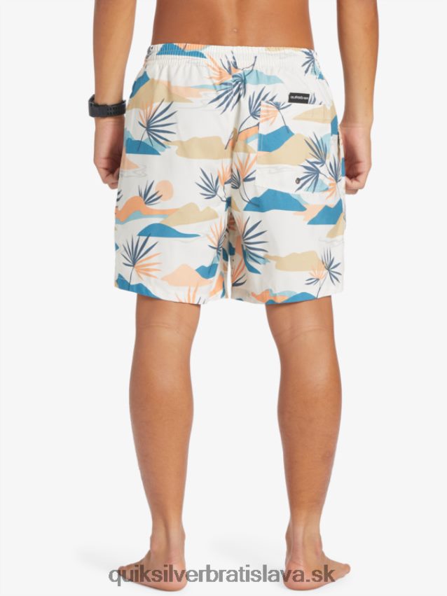 každodenný mix 17 volejov Quiksilver muži B80HXR678 breza