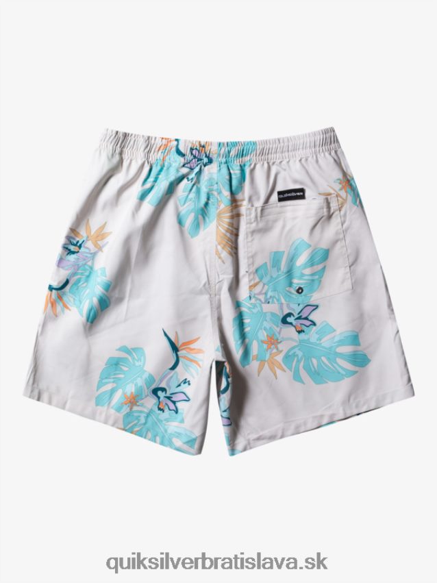 každodenný mix 17 volejov Quiksilver muži B80HXR679 biely