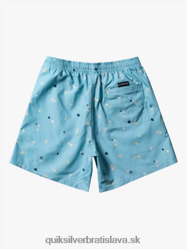 každodenný mix 17 volejov Quiksilver muži B80HXR680 nebeská modrá