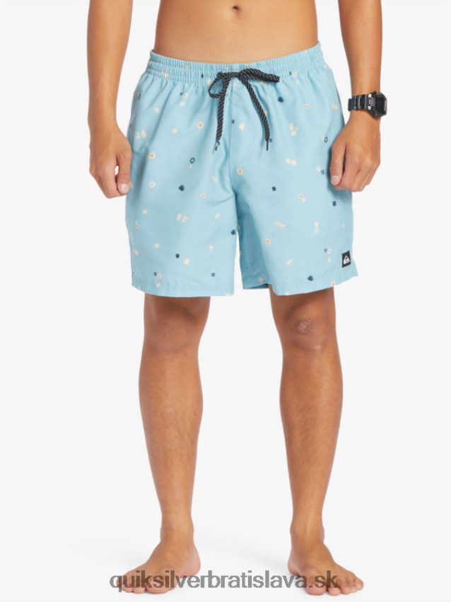 každodenný mix 17 volejov Quiksilver muži B80HXR680 nebeská modrá