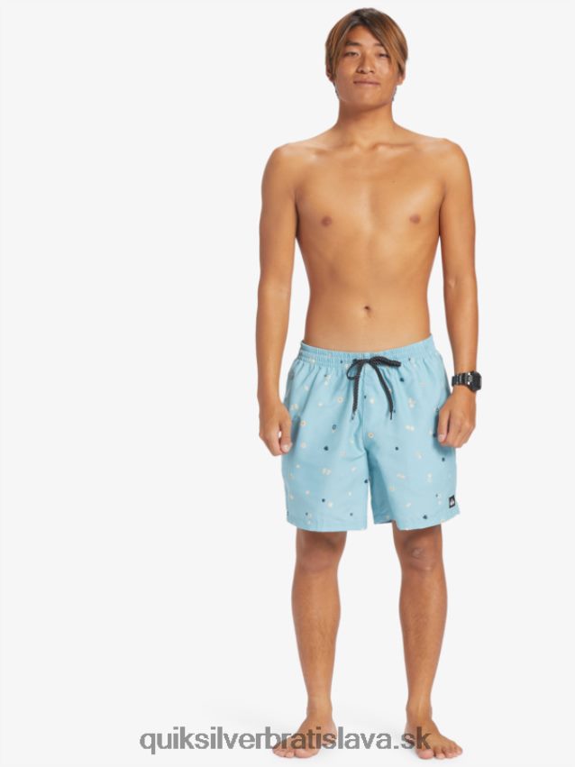 každodenný mix 17 volejov Quiksilver muži B80HXR680 nebeská modrá