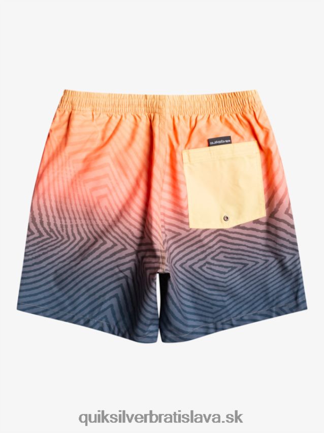 každodenné pokrivené logo 17 salv Quiksilver muži B80HXR1179 polnočné námorníctvo