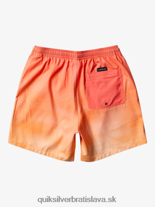 každodenný vánok 17 salv Quiksilver muži B80HXR721 medené opálenie
