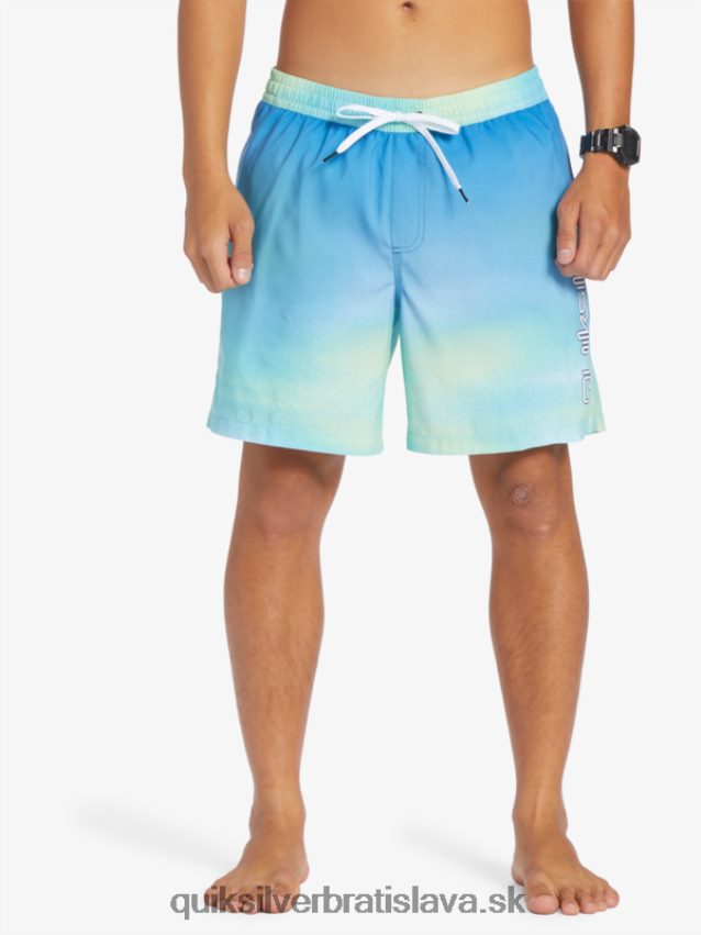 každodenný vánok 17 salv Quiksilver muži B80HXR722 riečna modrá