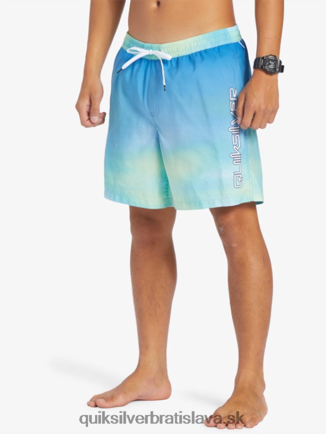 každodenný vánok 17 salv Quiksilver muži B80HXR722 riečna modrá