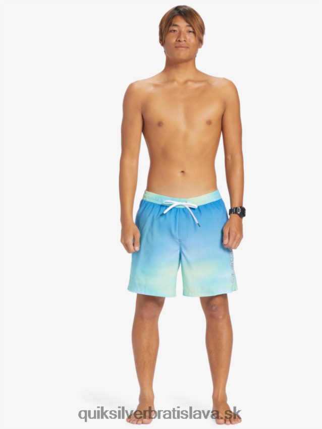 každodenný vánok 17 salv Quiksilver muži B80HXR722 riečna modrá