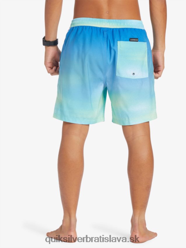 každodenný vánok 17 salv Quiksilver muži B80HXR722 riečna modrá