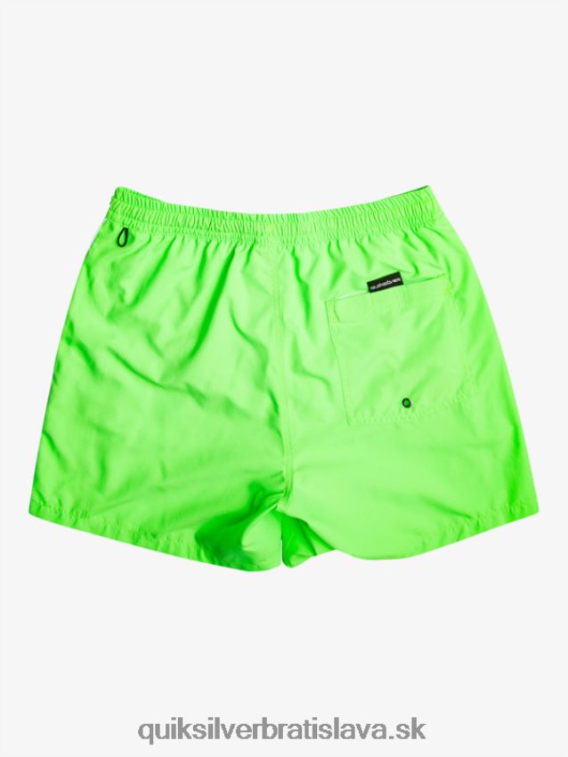 každodenný vert 16 volejov Quiksilver muži B80HXR696 zelený gekón