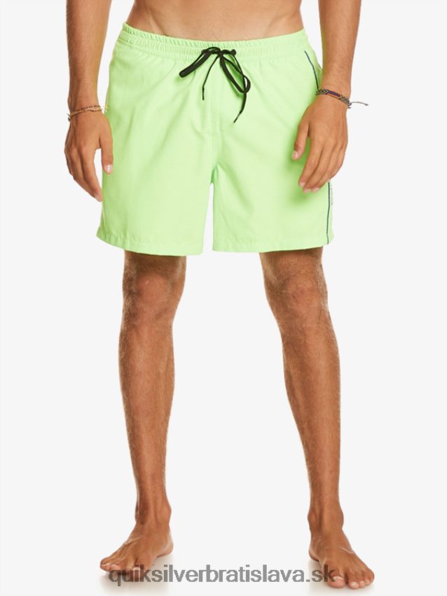 každodenný vert 16 volejov Quiksilver muži B80HXR696 zelený gekón