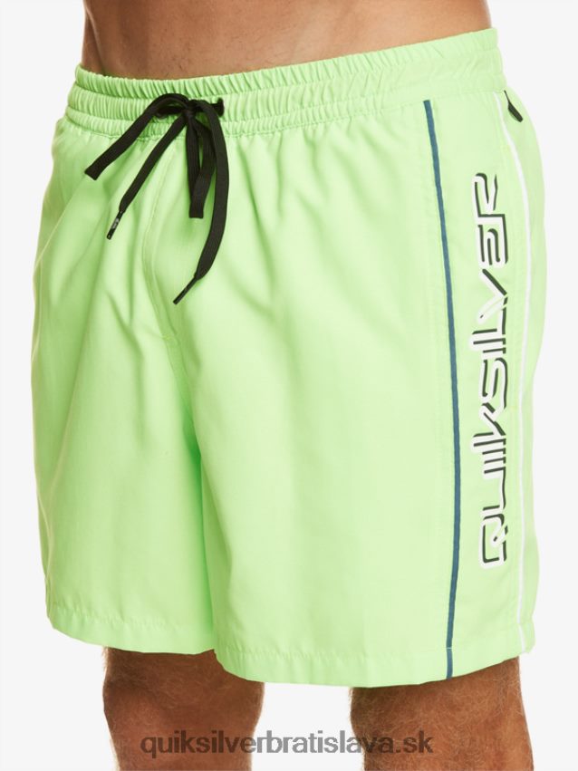 každodenný vert 16 volejov Quiksilver muži B80HXR696 zelený gekón