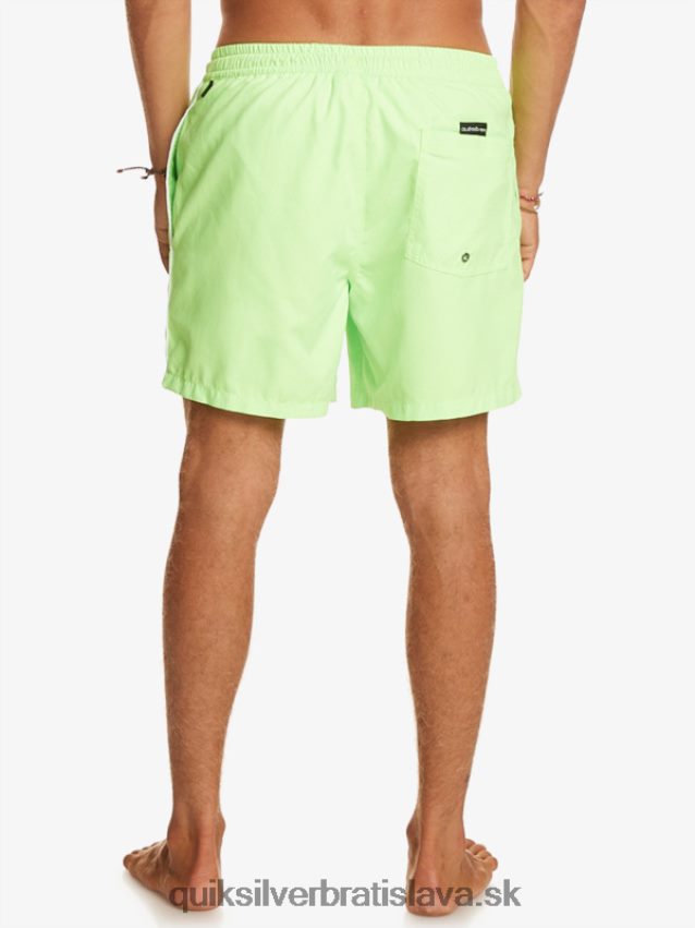 každodenný vert 16 volejov Quiksilver muži B80HXR696 zelený gekón