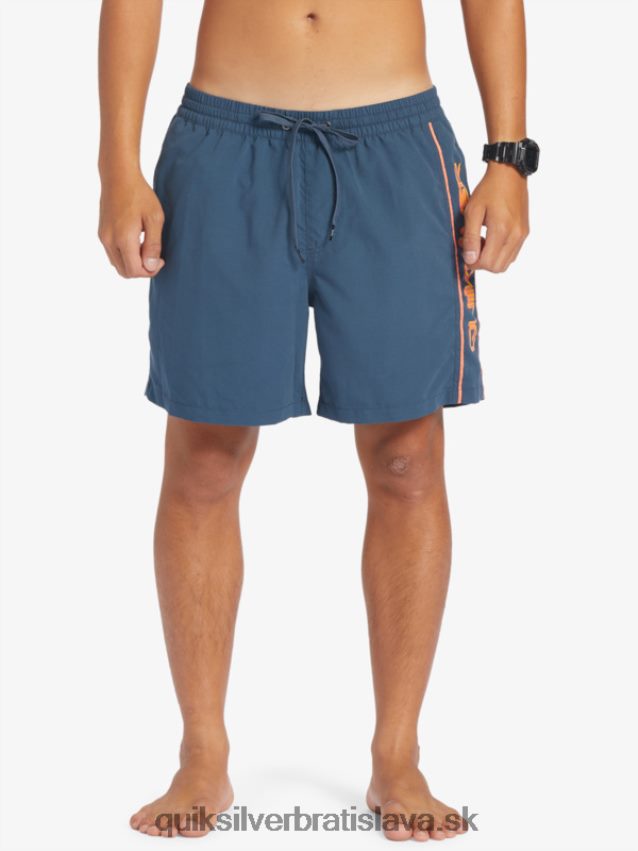 každodenný vert 16 volejov Quiksilver muži B80HXR699 polnočné námorníctvo