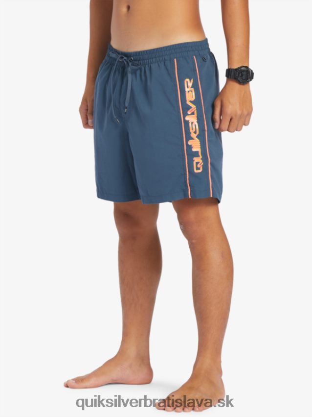 každodenný vert 16 volejov Quiksilver muži B80HXR699 polnočné námorníctvo
