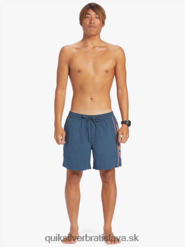 každodenný vert 16 volejov Quiksilver muži B80HXR699 polnočné námorníctvo