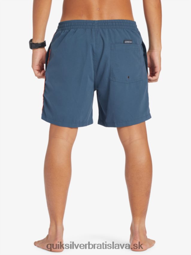 každodenný vert 16 volejov Quiksilver muži B80HXR699 polnočné námorníctvo