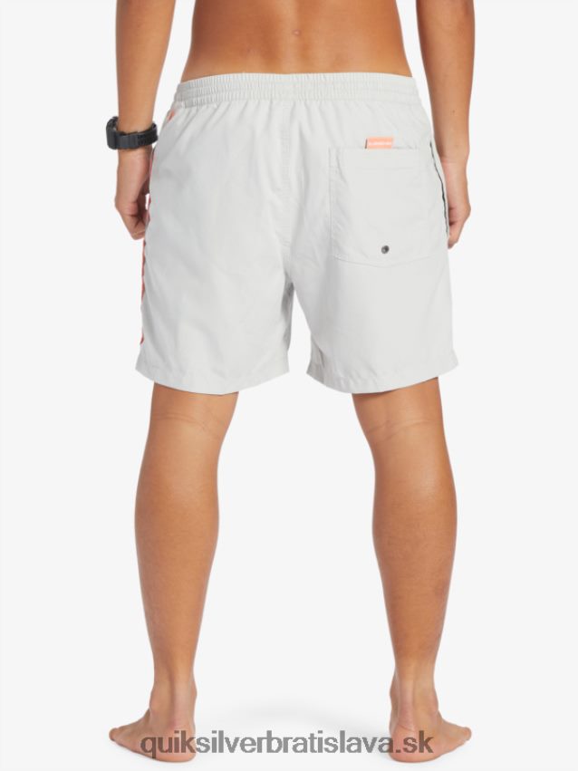 každodenný vert 16 volejov Quiksilver muži B80HXR700 šedo fialová