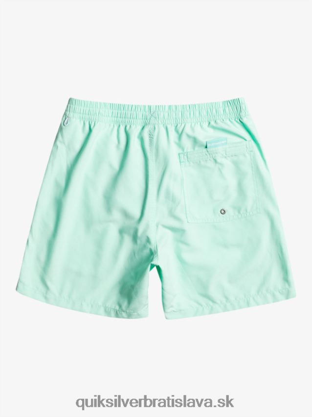 každodenný vert 16 volejov Quiksilver muži B80HXR702 plážové sklo