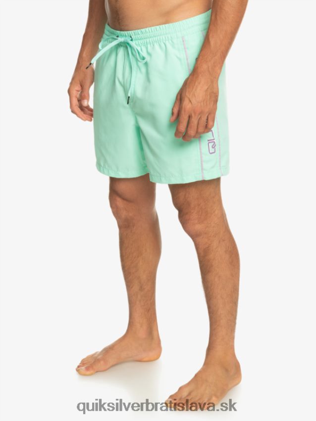každodenný vert 16 volejov Quiksilver muži B80HXR702 plážové sklo