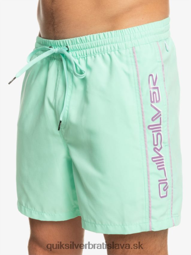 každodenný vert 16 volejov Quiksilver muži B80HXR702 plážové sklo