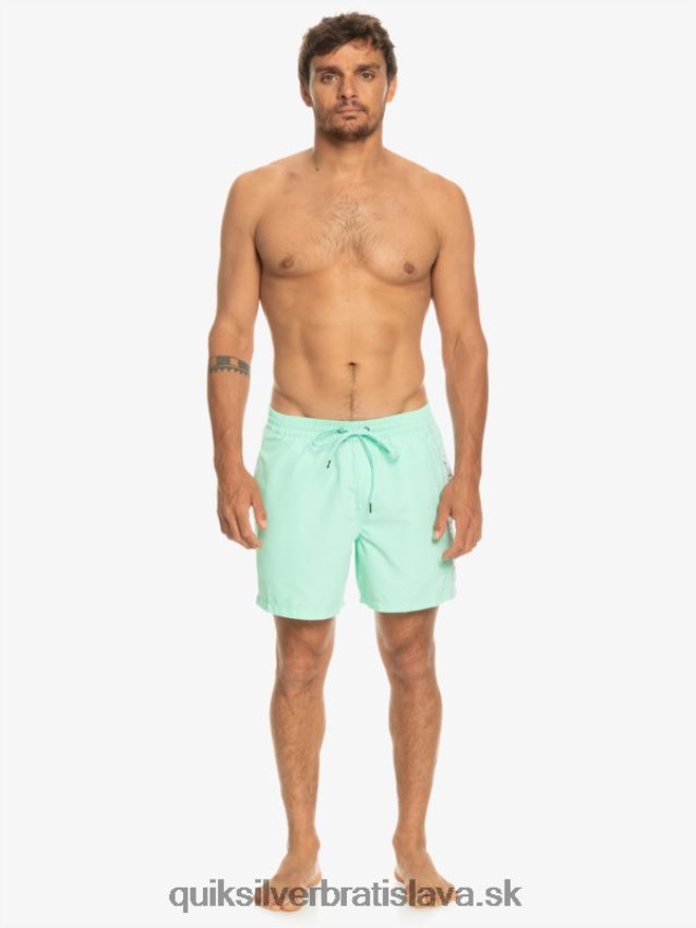 každodenný vert 16 volejov Quiksilver muži B80HXR702 plážové sklo
